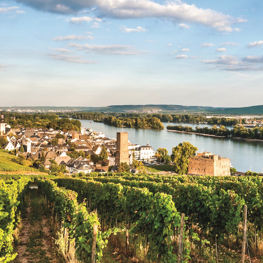 tourhub | Riviera Travel | Cruise the heart of Europe - MS George Eliot 